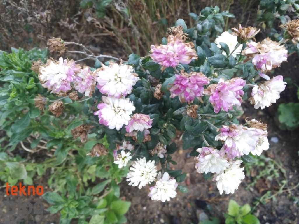 Alcatel Idol 4 İncelemesi