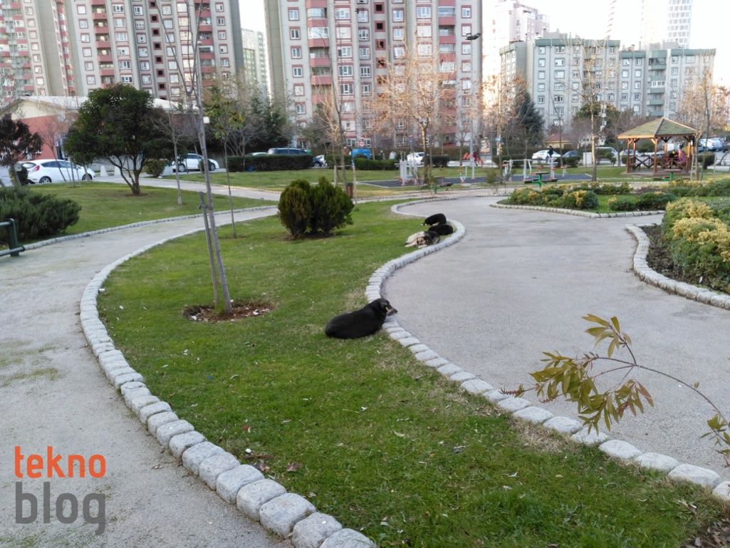 General Mobile GM 5 İncelemesi