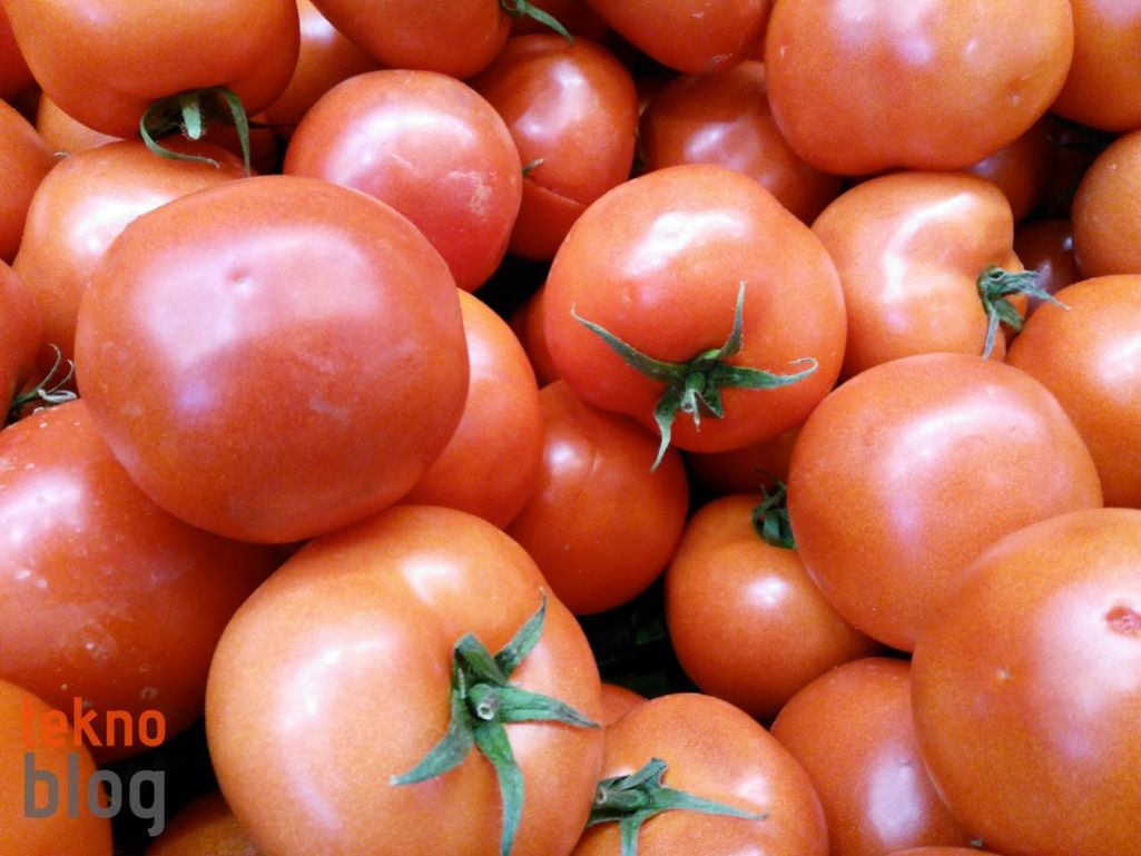 General Mobile GM 5 İncelemesi