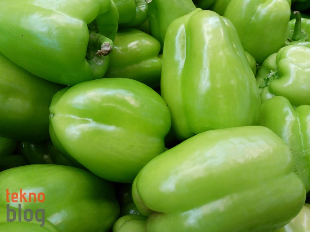 General Mobile GM 5 İncelemesi