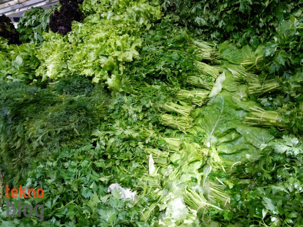 General Mobile GM 5 İncelemesi