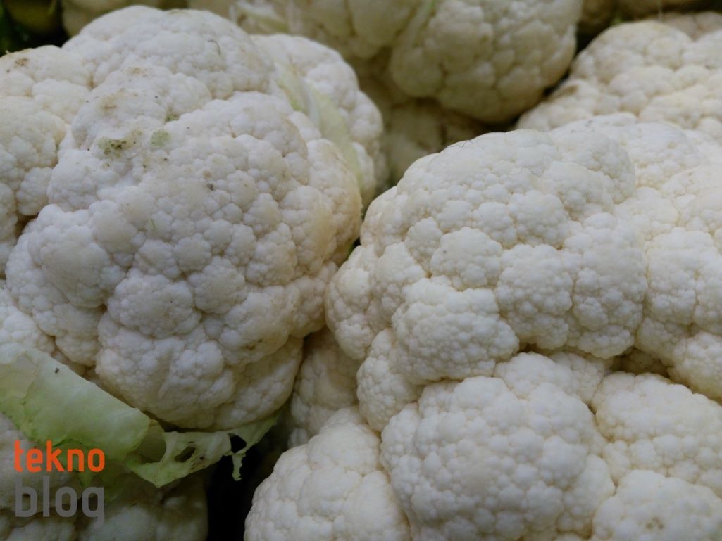 General Mobile GM 5 İncelemesi