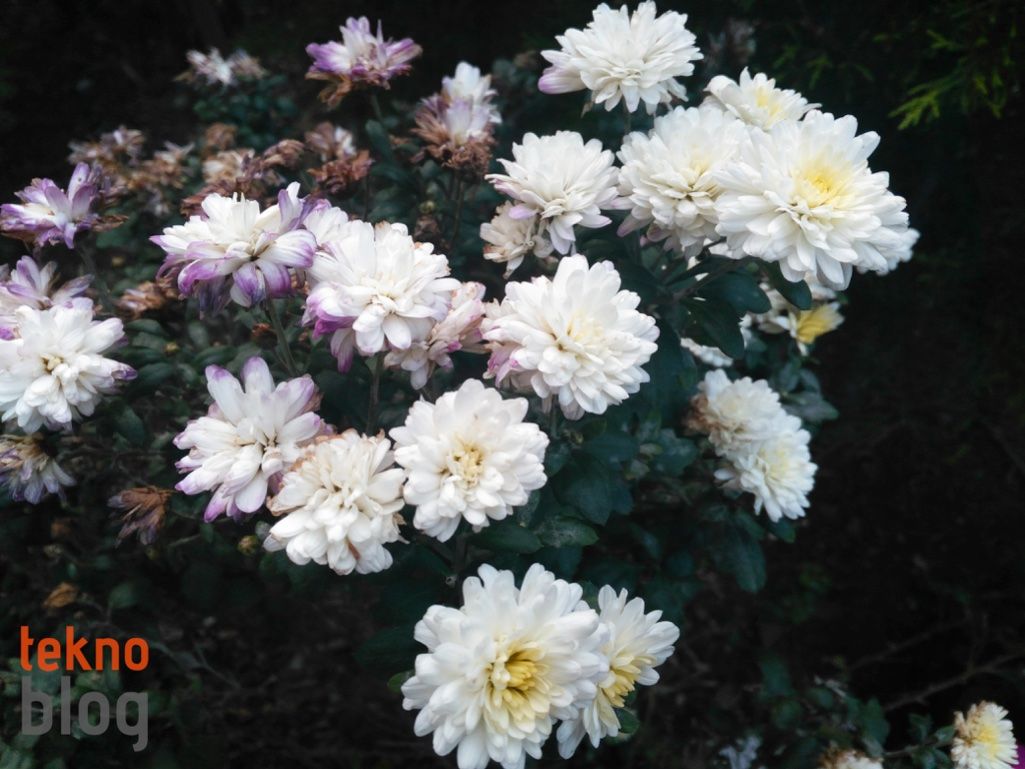 General Mobile GM 5 İncelemesi