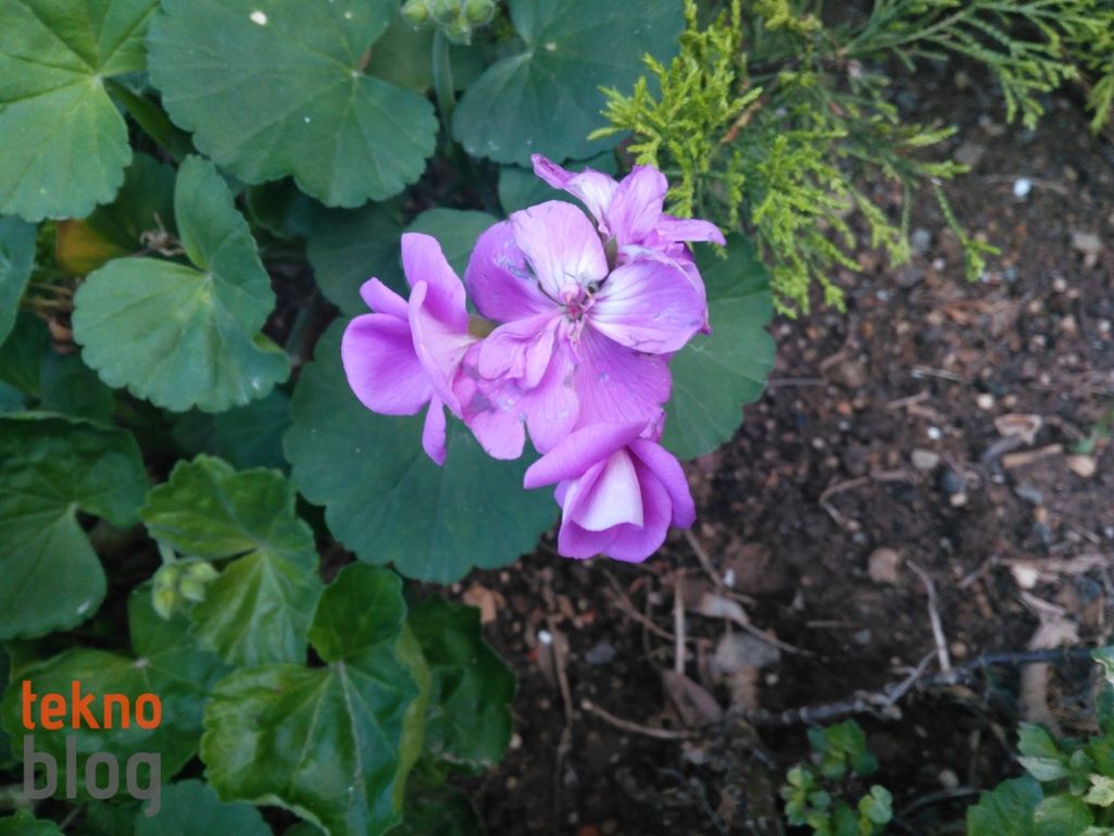 General Mobile GM 5 İncelemesi