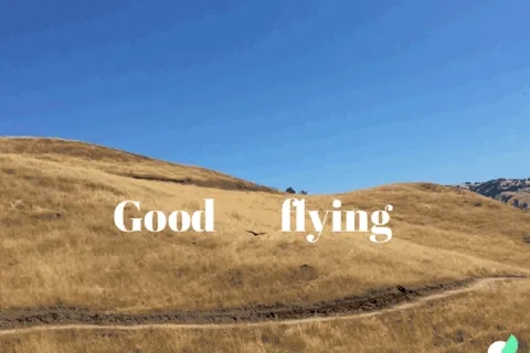Google Motion Stills uygulamasına hareketli yazılar ve sinemagraflar geldi