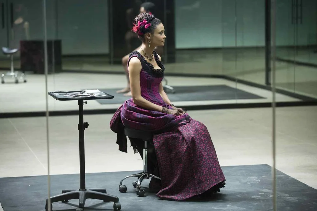 Westworld dizisinin tüm parçaları bir albümde toplandı