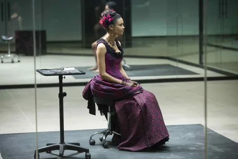 Westworld dizisinin tüm parçaları bir albümde toplandı