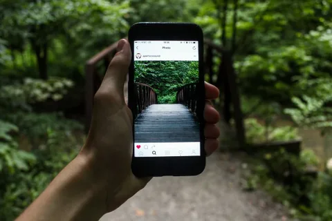 Instagram iPhone uygulamasına iPhone 7 için daha geniş renk desteği ve Live Photo imkanı