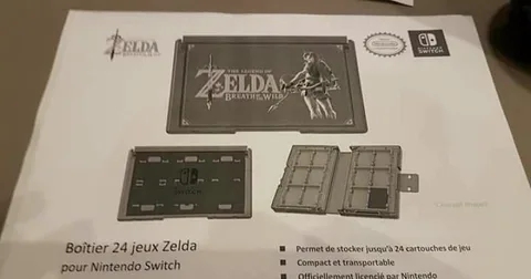 Nintendo Switch aksesuar konusunda zengin seçenekler sunacak
