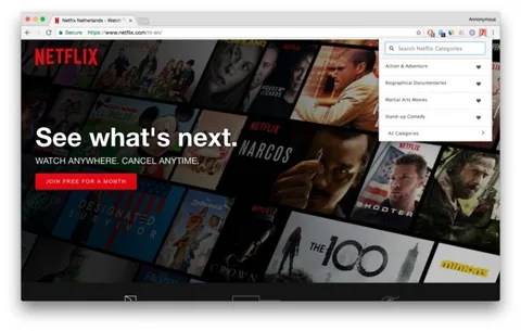 Netflix Categories Chrome eklentisi gizli kategorilerin keşfine yardımcı oluyor