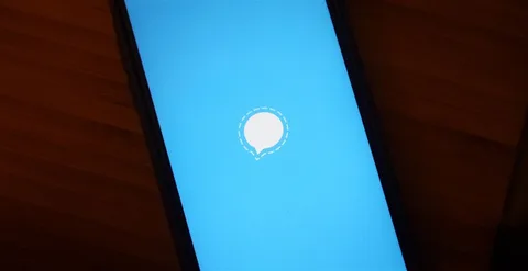 Signal 24 saati aşkın kesintinin ardından yeniden açıldı