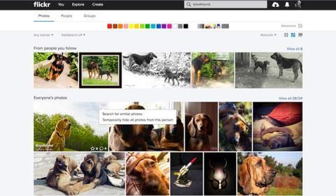 Flickr birbirine benzeyen fotoğrafları bulmayı kolaylaştırıyor