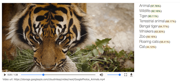 google otomatik ogrenme
