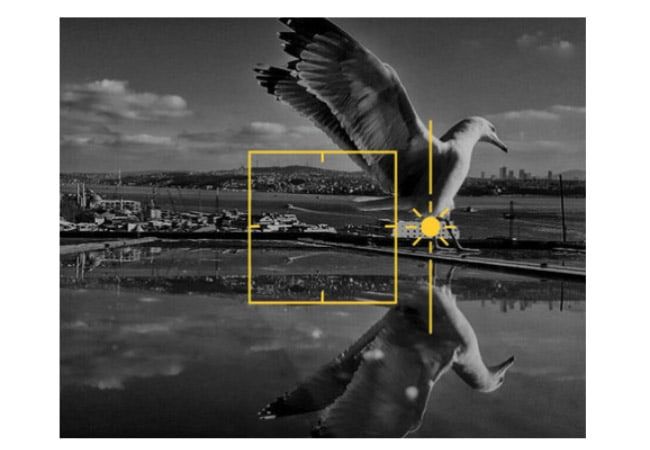 iphone fotoğraf yürüyüşü