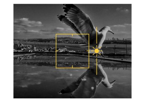 iphone fotoğraf yürüyüşü