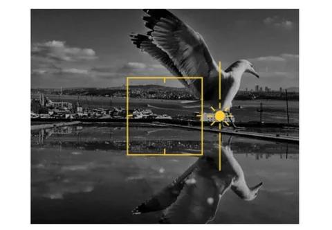 Apple’dan iPhone ile fotoğraf yürüyüşü etkinliği