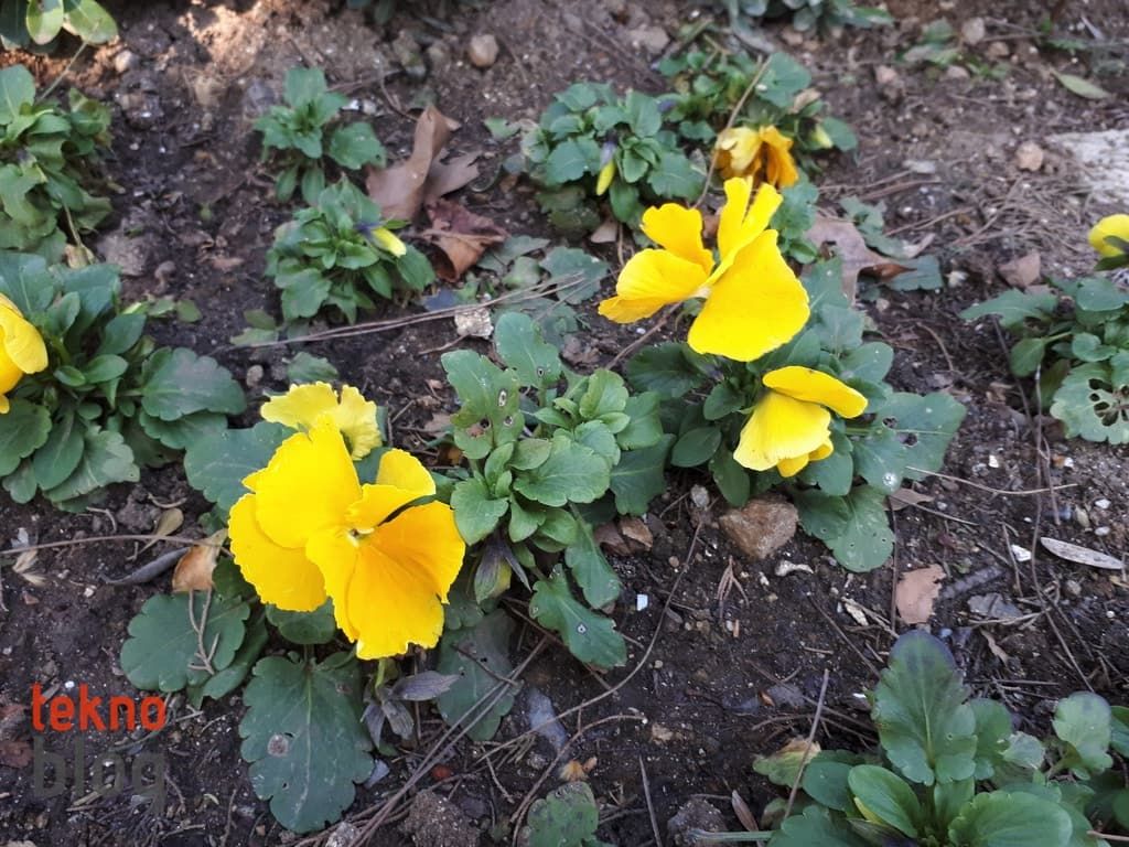 Samsung Galaxy A7 (2017) İncelemesi