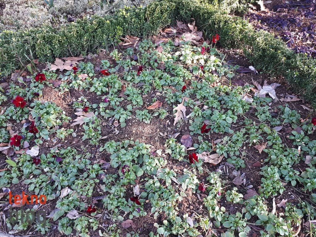 Samsung Galaxy A7 (2017) İncelemesi