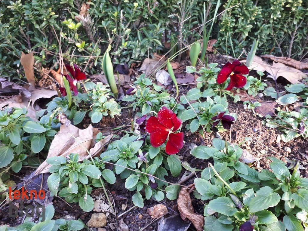 Samsung Galaxy A7 (2017) İncelemesi