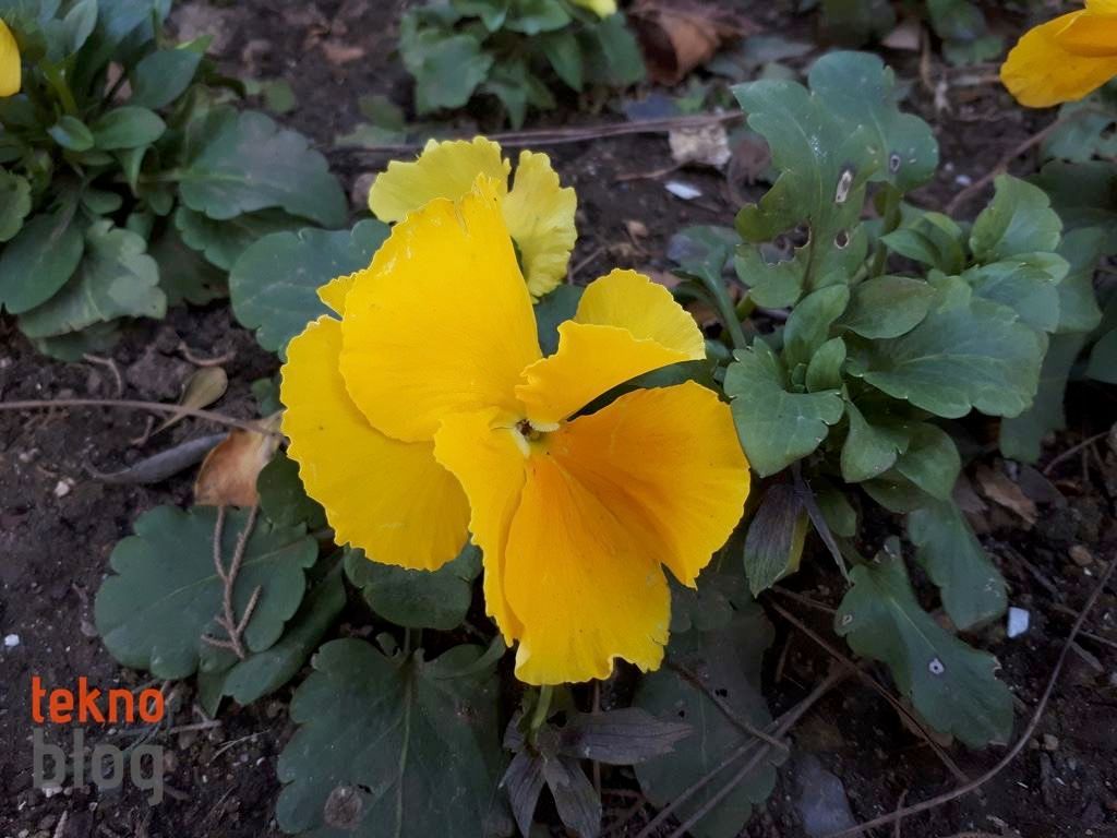 Samsung Galaxy A7 (2017) İncelemesi