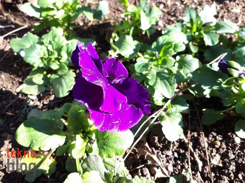 Samsung Galaxy A7 (2017) İncelemesi