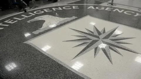 WikiLeaks CIA belgelerindeki açıkları kapatmak için şirketlere yardıma hazır