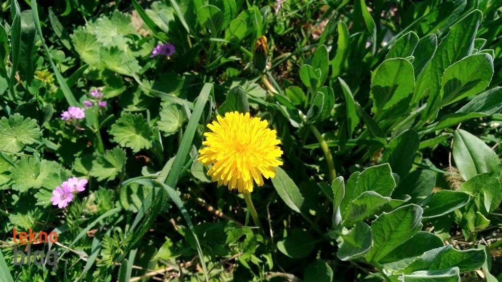 Asus ZenFone 3 Laser İncelemesi