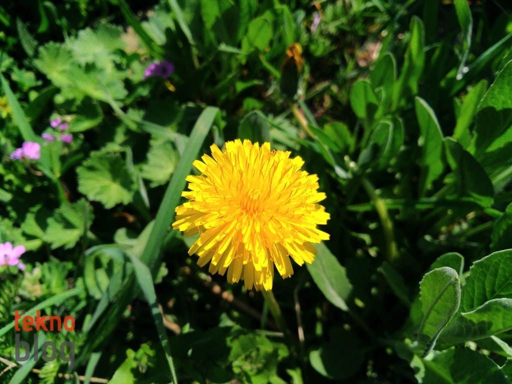 Asus ZenFone 3 Laser İncelemesi