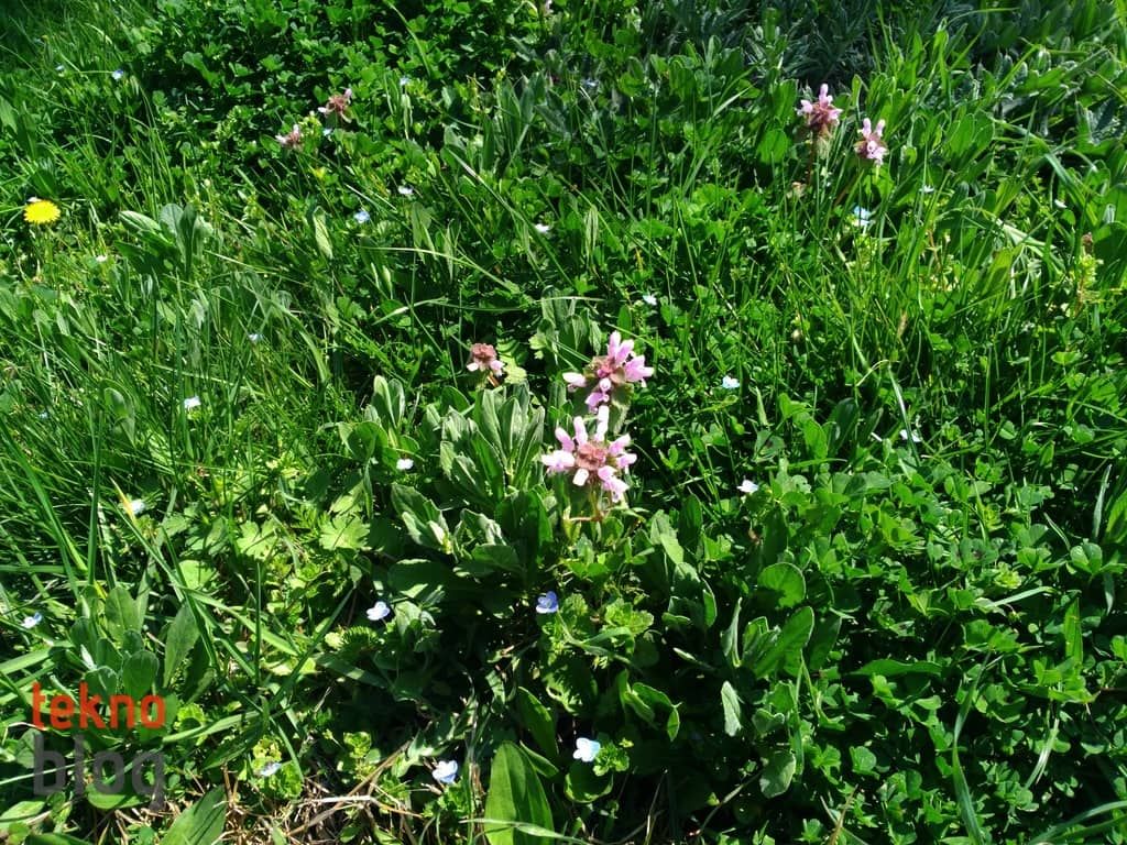 Asus ZenFone 3 Laser İncelemesi