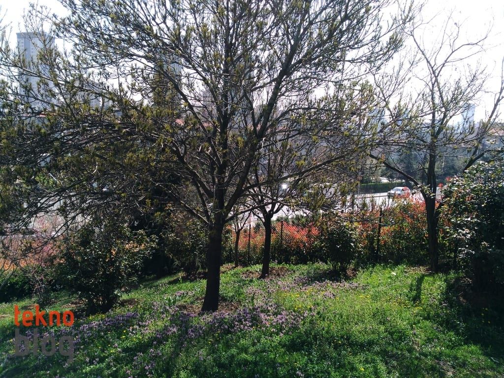 Asus ZenFone 3 Laser İncelemesi