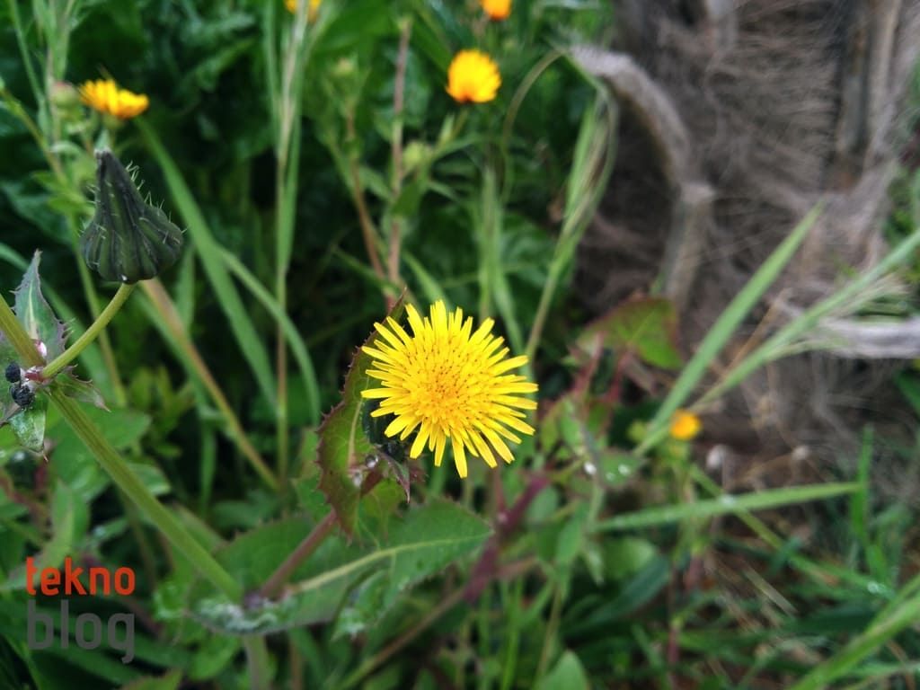 Asus ZenFone 3 Laser İncelemesi