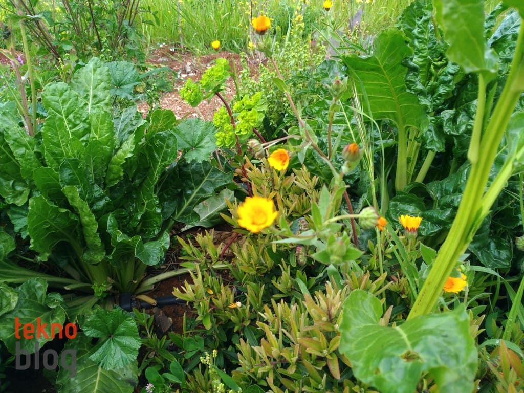 Asus ZenFone 3 Laser İncelemesi