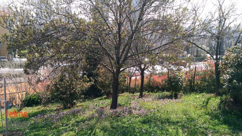 Asus ZenFone 3 Laser İncelemesi