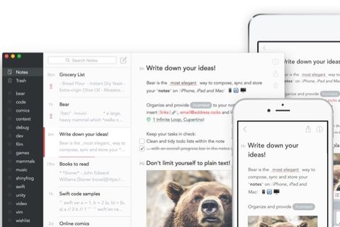 Not alma uygulaması Bear yeni özelliklerle gelişiyor