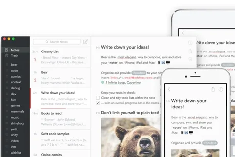 Not alma uygulaması Bear yeni özelliklerle gelişiyor