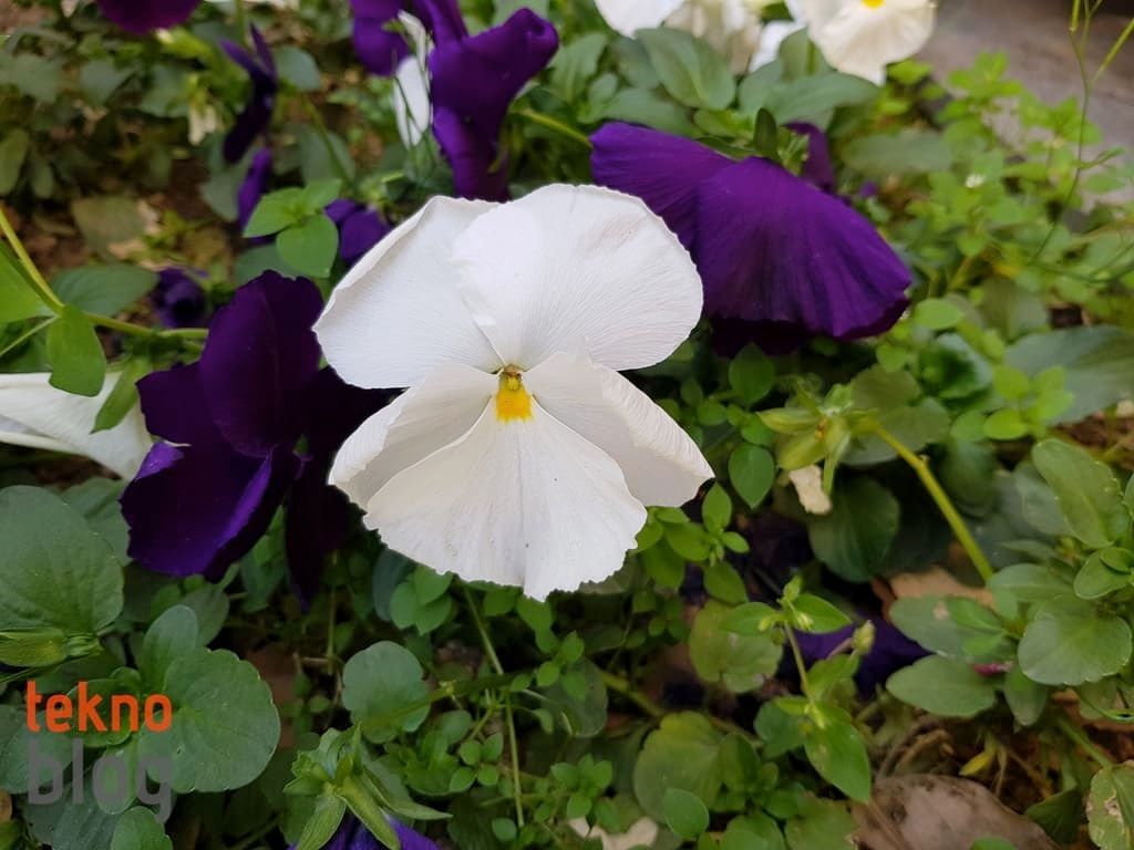 Samsung Galaxy S8+ İncelemesi