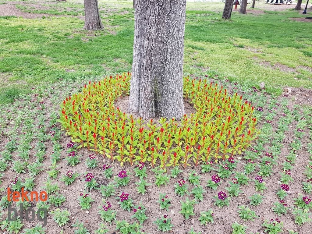 Samsung Galaxy S8+ İncelemesi