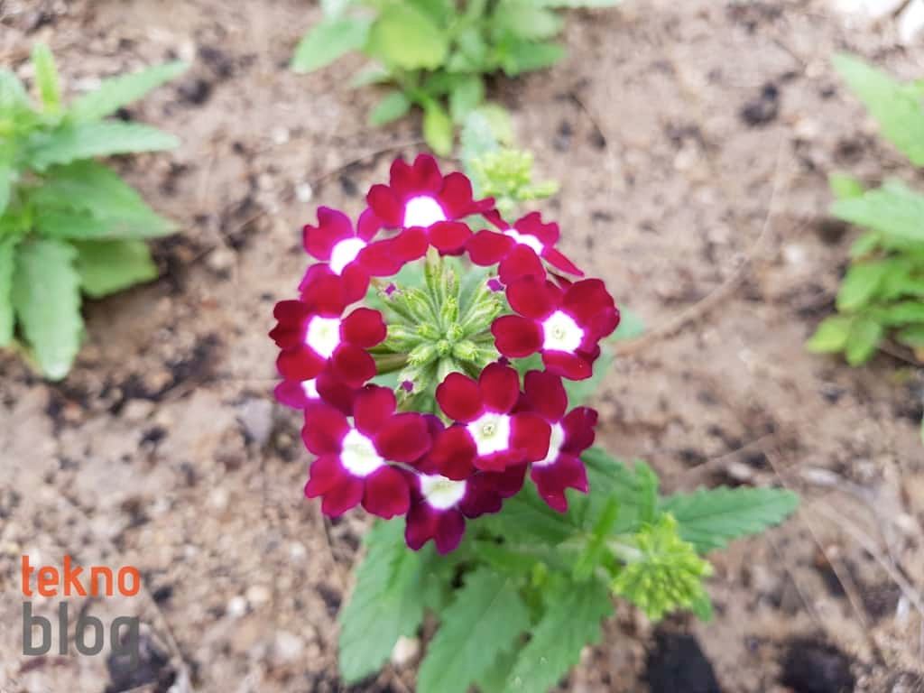 Samsung Galaxy S8+ İncelemesi