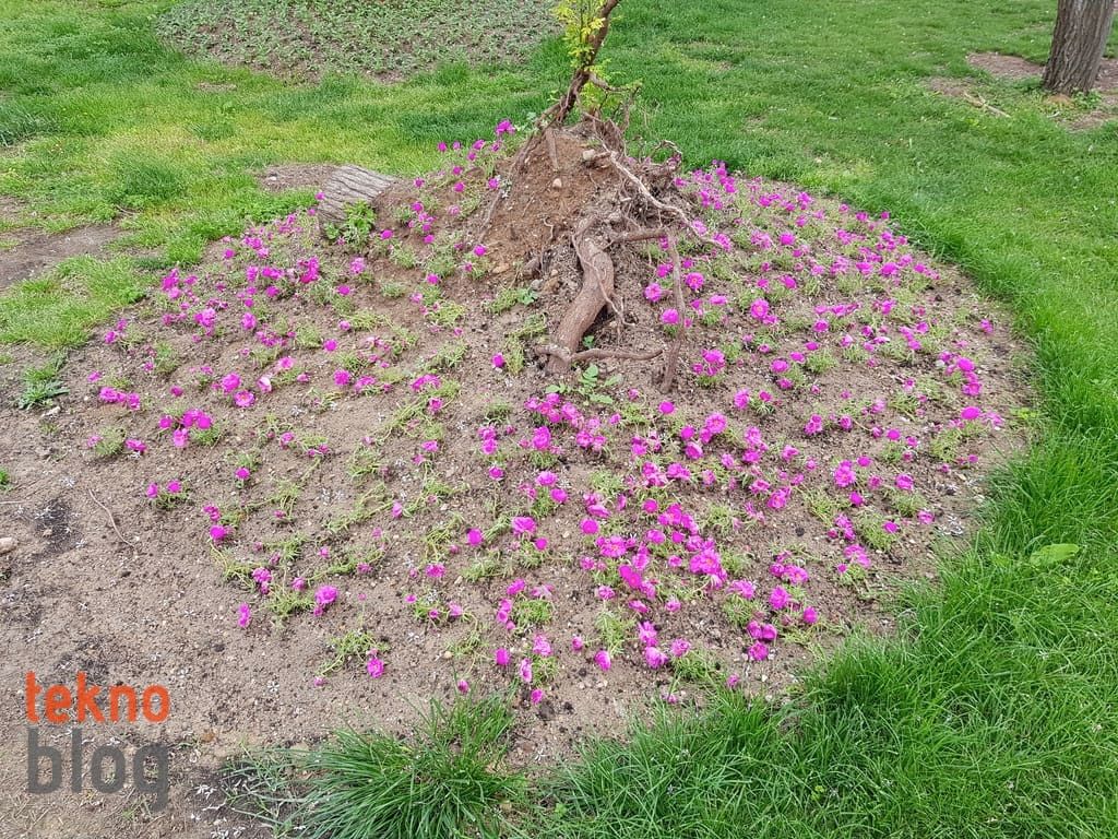 Samsung Galaxy S8+ İncelemesi