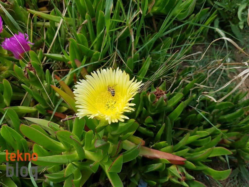 Samsung Galaxy S8+ İncelemesi