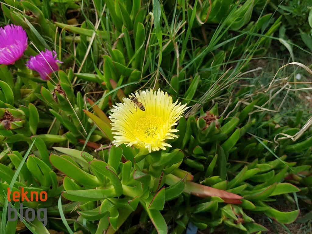 Samsung Galaxy S8+ İncelemesi