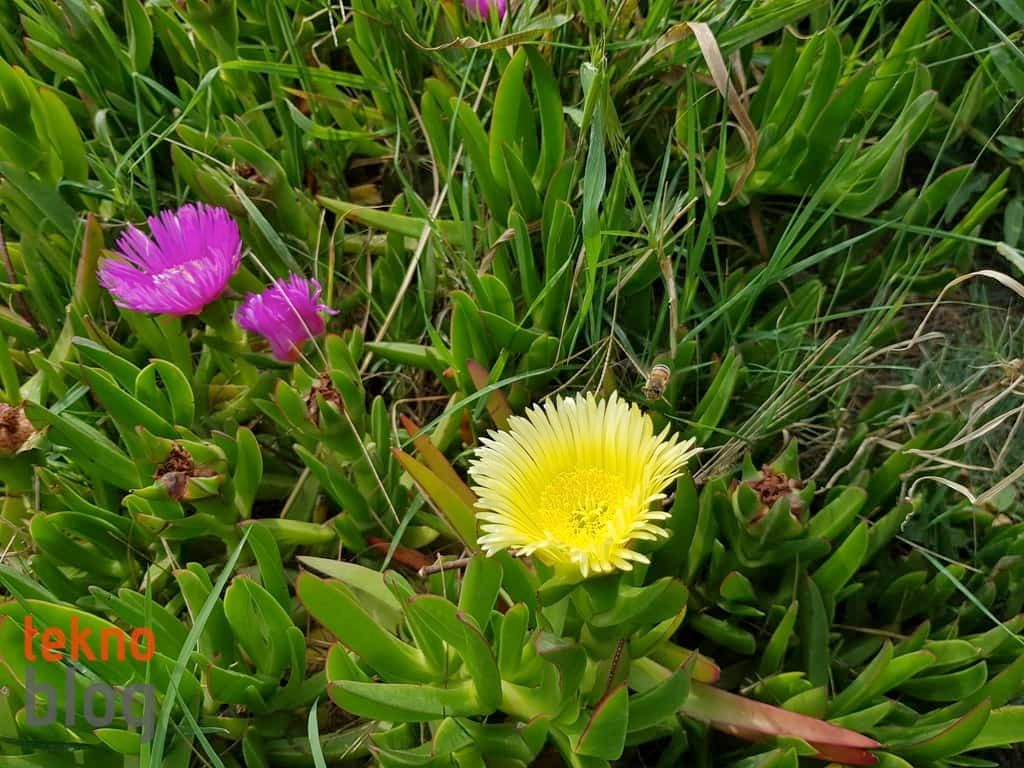 Samsung Galaxy S8+ İncelemesi