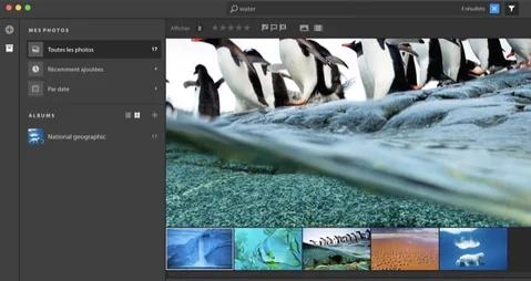 Adobe Project Nimbus uygulamasını “yanlışlıkla” yayınladı