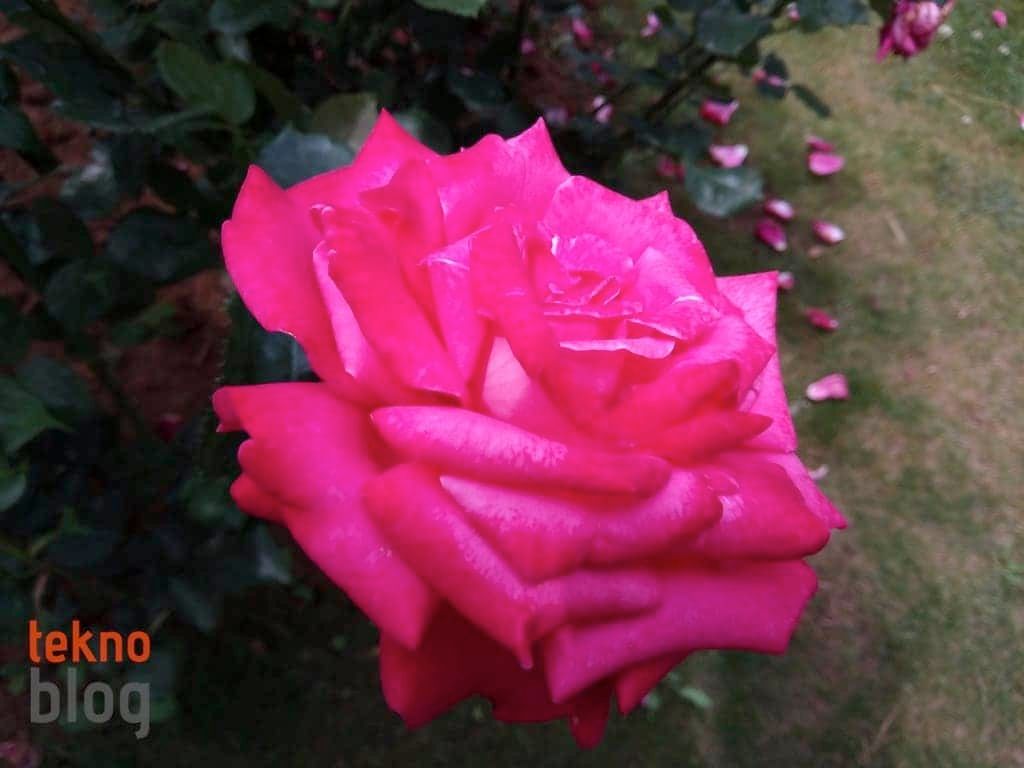 General Mobile GM 6 İncelemesi