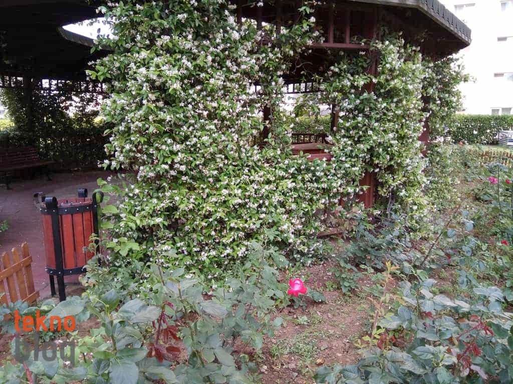 General Mobile GM 6 İncelemesi