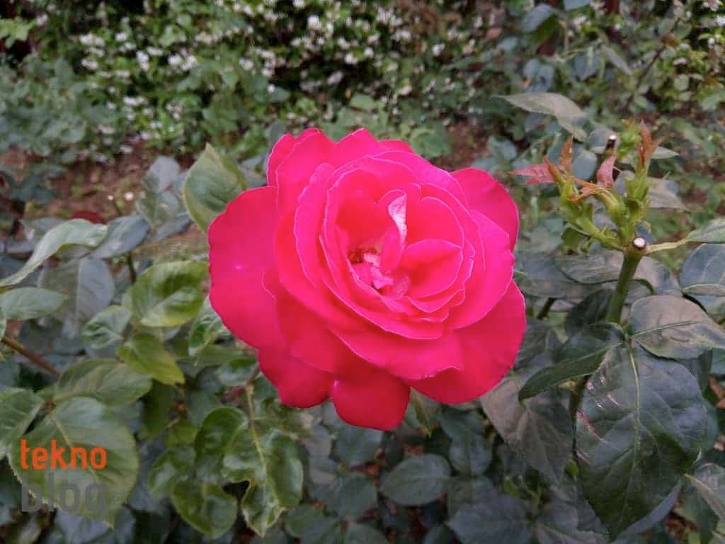 General Mobile GM 6 İncelemesi