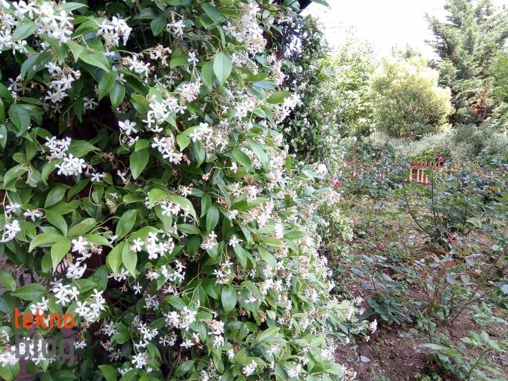 General Mobile GM 6 İncelemesi