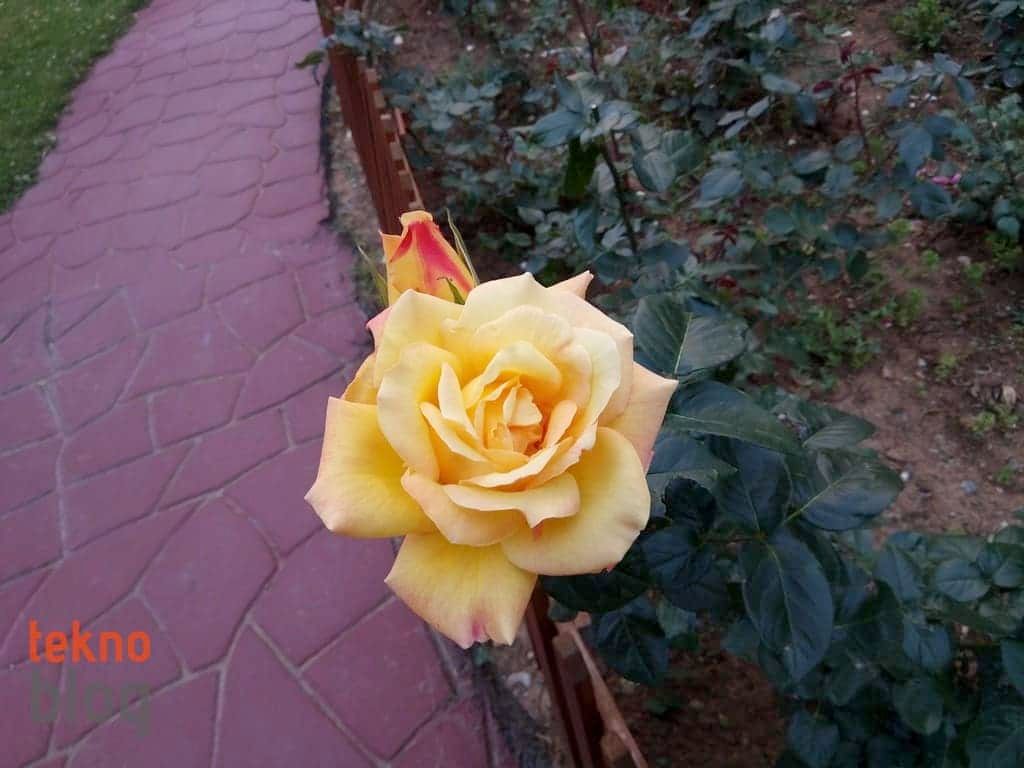 General Mobile GM 6 İncelemesi