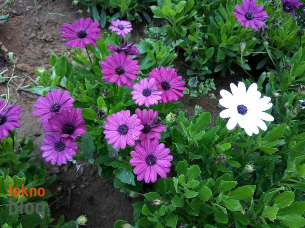 General Mobile GM 6 İncelemesi