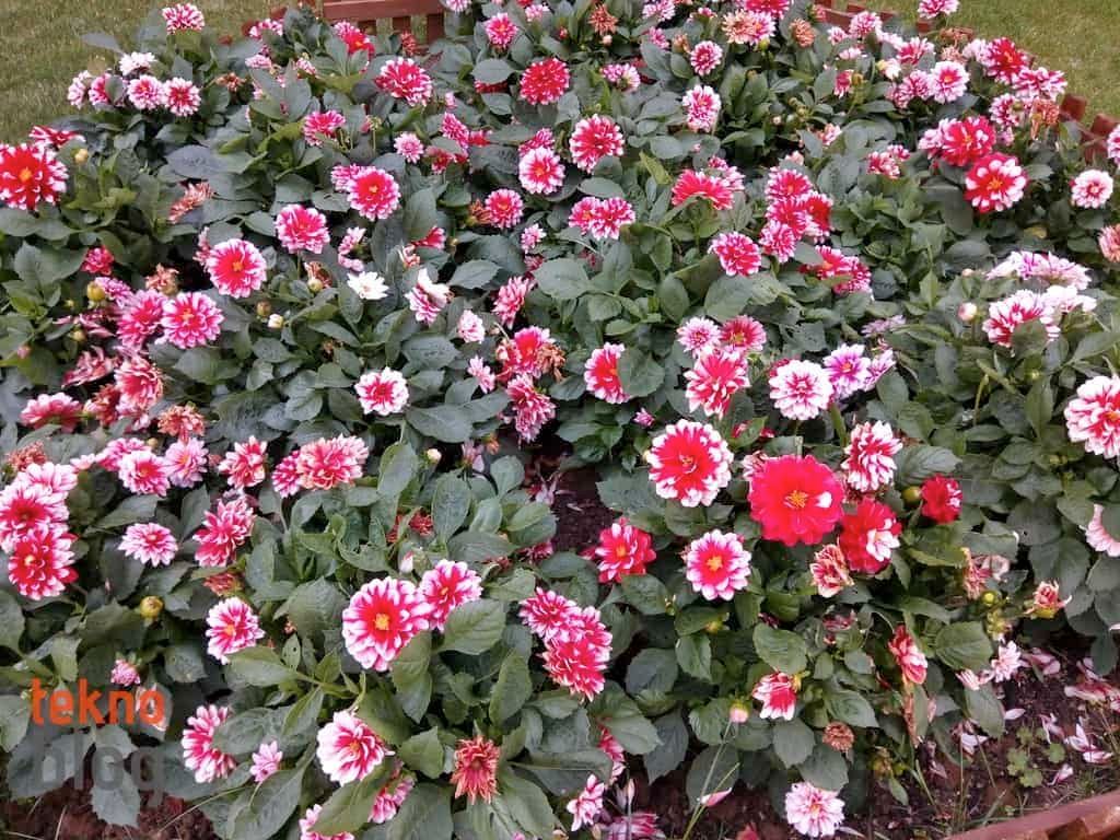 General Mobile GM 6 İncelemesi